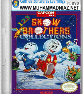 snow bros 2 players game