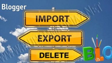 Import Export Logo