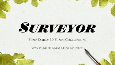 Surveyor Font Preview Cover