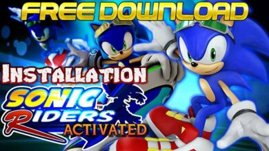 Sonic Riders Game Cover