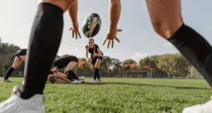 Development of Sports in New Zealand